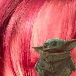 Meet your Posher, Susan